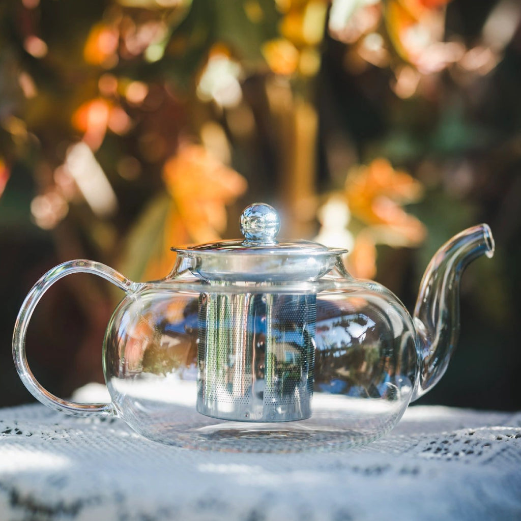 Glass Tea Pot w/ Steeper